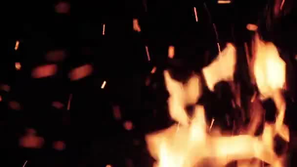 Extremo close-up de faíscas de fogo se movendo no céu escuro noite no fundo preto vindo de queima brilhante fogueira ao ar livre quente na floresta — Vídeo de Stock