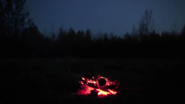 暗い青い夕暮れ空と針葉樹の森の背景に大きなキャンプの火。明るい火をたき火燃焼屋外に落ちて木のログから立ち上がり火花します。 — ストック動画