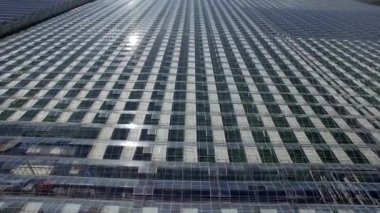 Endüstriyel tarım seralarda 4k havadan görünümü. Modern saç ekimi glasshouse alanı ile güneş üzerinde sinek yansıtmak büyüyen bitkiler sebze çiçekler düzenlenmiş iklim koşulları için cam çatı çiftliklerinde