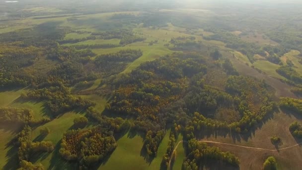 4K antenn utsikt flyger över skördade fält på landsbygden i soligt väder höstfärger — Stockvideo