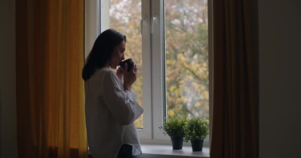 Portrait latéral de fille coûteuse debout près de la fenêtre avec une tasse de thé au ralenti. Jeune femme buvant du café chaud regardant à l'extérieur l'espace de copie paysage automne. Solitude dépression concept de solitude — Video