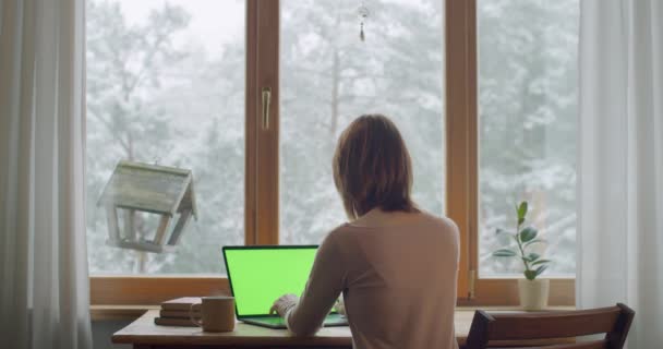 Kış karlı manzarasında pencerenin kenarında oturan bir kadının dizüstü bilgisayarı taklit edişinin arka görüntüsü. Yüzü olmayan serbest çalışan bir kız ahşap masa örtüsü içinde ağır çekimde çalışıyor. Serbest kilitleme kavramı — Stok video