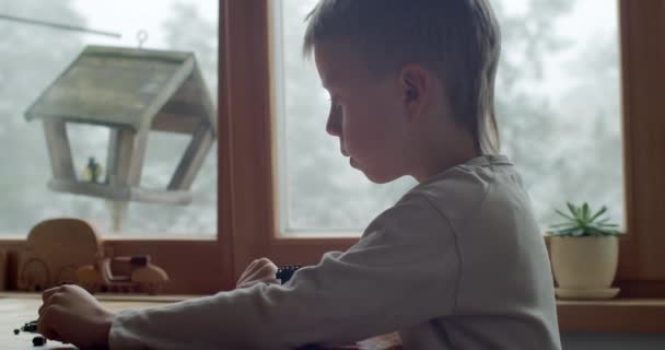 Cerrar retrato lateral de niño rubio sentado en la mesa por la ventana con aves voladoras de pollo afuera. Niño preescolar concentrado que construye a partir de ladrillos en el interior de cámara lenta. Actividades en casa — Vídeos de Stock