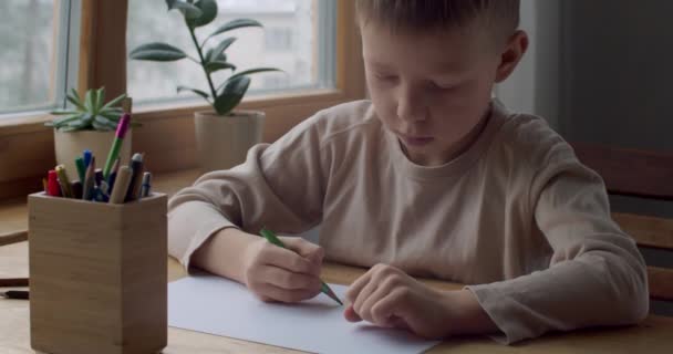 Vorderseite Ansicht des Vorschulkindes Zeichnung Bild zu Hause Zeitlupe. Konzentriert schreibt der Junge Hausaufgaben, sitzt drinnen am Tisch. Inspiration Bildung Kreativität Kunstprozess — Stockvideo