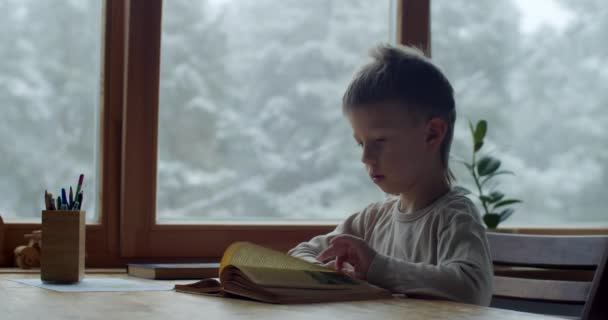 Hem porträtt av skolpojke studerar hemma medan coronavirus pandemi slow motion. Pensive barn läser pappersbok inomhus i mysig inredning. Begreppet kunskap vishet fantasi. Utveckling av barn — Stockvideo