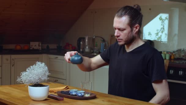 Кавказький чоловік варить зелений чай олунг у себе вдома на кухні, сповільнюючи рух. Сконцентрований майстер проводить китайську церемонію чаю, сидячи за дерев'яним столом. Східне культурне устаткування — стокове відео