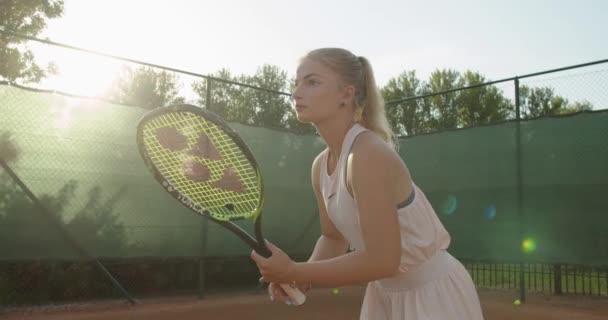 Fokuserad ambitiös ung sportspelare spelar tennis lins fackla sol slow motion. Allvarligt porträtt av unga idrottskvinna börjar sin tennismatch väntar på bollen. Hälsosam livsstil sport tävling — Stockvideo