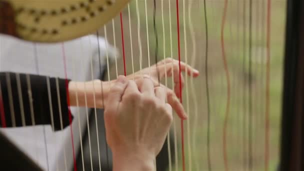 Händerna på harpist spelar harpa. Närbild — Stockvideo