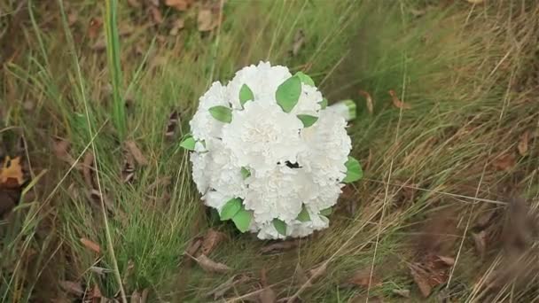 Weddding bukett med vita blommor på hösten gräs — Stockvideo