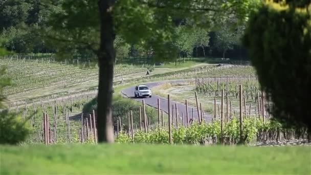 Witte auto verplaatsen op de weg tussen de wijngaarden in Italië — Stockvideo