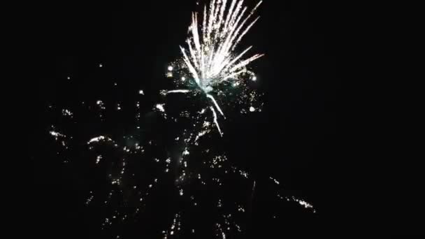 Fireworks. Close-up — Stock Video
