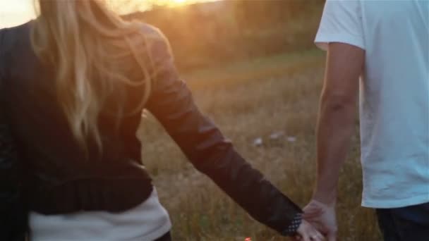 Pareja joven enamorada tomándose de las manos caminando en el campo al atardecer. Movimiento lento — Vídeos de Stock