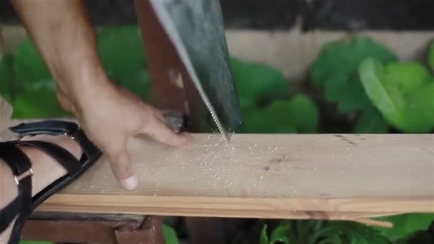 Homme sciage planche de bois avec scie à main. Gros plan. 2 clichés dans une séquence . — Video