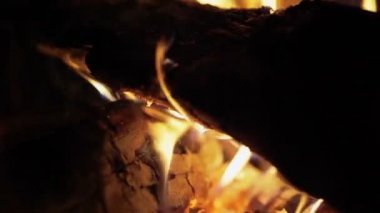 Parlak yanan ahşap, kamp ateşi makro video. Pan