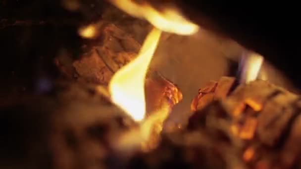 Luminoso fuego de leña, fogata macro video — Vídeo de stock