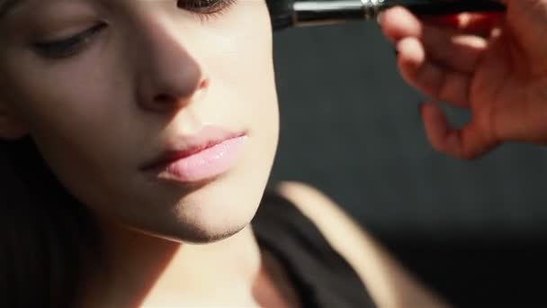 Professionele make-up. Close-up van Blush wordt toegepast op jukbeenderen — Stockvideo
