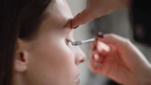 Side view of professional mascara application with a brush — Stock Video