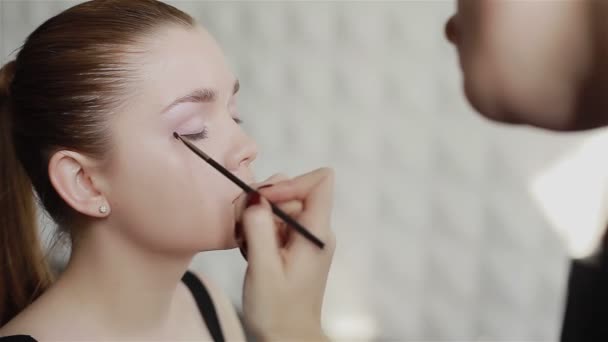 Maquillaje profesional artista emplumado sombra de ojos violeta claro en el párpado. Primer plano — Vídeo de stock