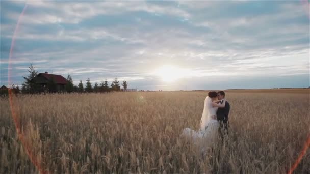 Amante casal de pé abraçando no campo de trigo ao pôr do sol com uma casa no fundo — Vídeo de Stock