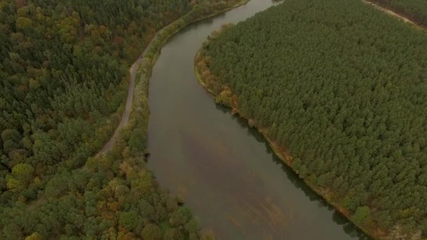 4K повітряний вигляд - літати над річкою з лісовими деревами на берегах — стокове відео