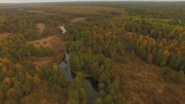 4 k légifelvételek - repülés alatt folyó és színes erdők — Stock videók
