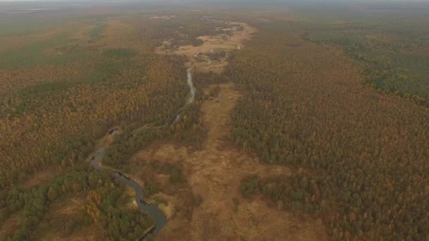 4 k Αεροφωτογραφία - meandering ποταμού και του φθινοπώρου του δασικού — Αρχείο Βίντεο