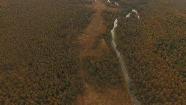 4 k légifelvételek őszi erdő és a folyóra - őszi táj — Stock videók