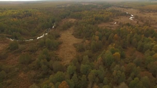 Vista aérea 4K da paisagem colorida da queda no vale do rio — Vídeo de Stock