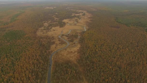 4K повітряний вид - меандрівний річковий та апельсиновий осінній ліс — стокове відео