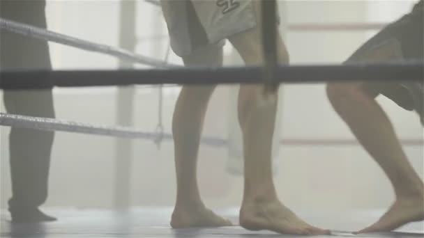 Poražený boxer padá na podlahu. Trénink v muay thai boxu — Stock video