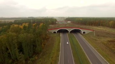 4 k hava manzara otoyol Polonya arazi köprüden. Hayvan köprüler güvenli bir şekilde, sürücülerin ve yaban hayatı hayatlarını çapraz hayvan yardımcı oluyor