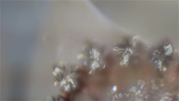 Gros plan sur une macro de bijoux étincelants — Video