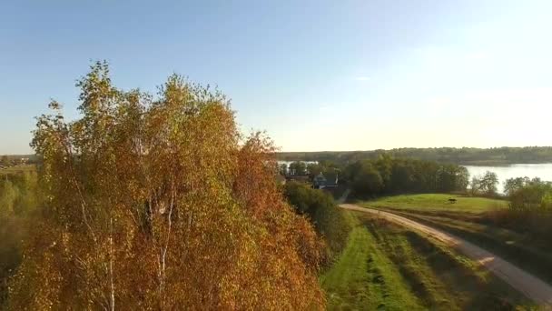 Poêle verticale 4K de vue campagne idyllique avec un bouleau et un cheval 