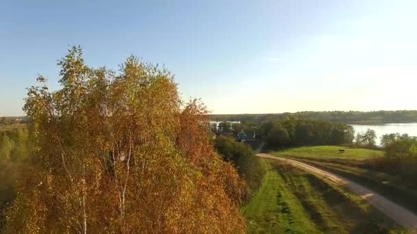 Вертикальный вид на деревню в 4К с березой и лошадью — стоковое видео