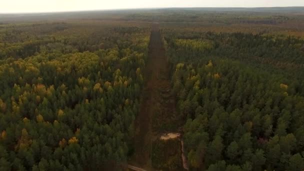 Vista aérea de 4K - sobrevoando a estrada de clareira florestal de outono com torres de eletricidade — Vídeo de Stock