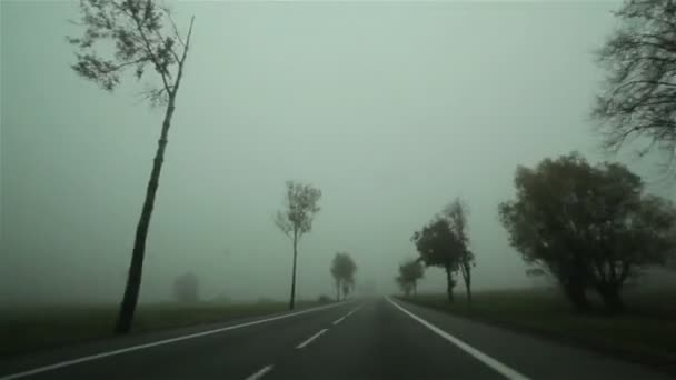 Köra bil på en dimmig väg. Utsikt från fönstret vindrutan onboard kameran — Stockvideo
