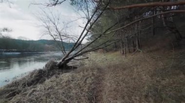Nehri boyunca ağaçlar arasında taşıma