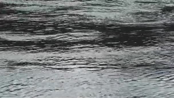 Een stromende rivier. Close-up — Stockvideo