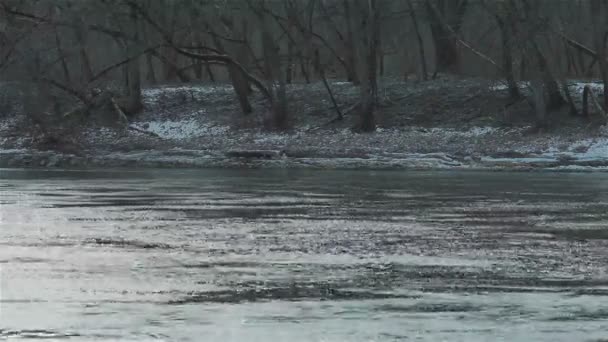 La orilla de un río que fluye rápido. Paisaje invierno — Vídeos de Stock