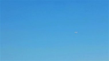 Beyaz uçak yaz mavi gökte uçan