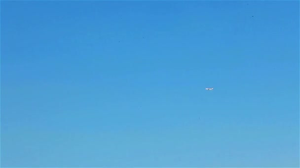 Avión blanco volando en verano cielo azul — Vídeos de Stock