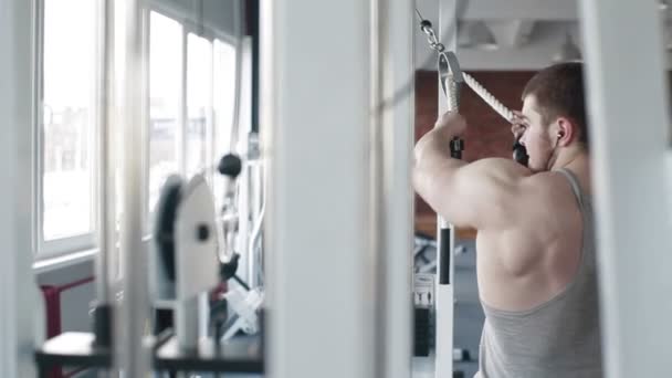 Вид ззаду на молодого культуриста вправи в спортзалі — стокове відео