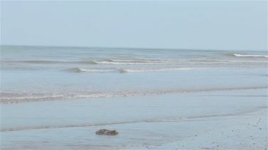 Deniz dalgaları kıyıdan yuvarlanıyor. Pan