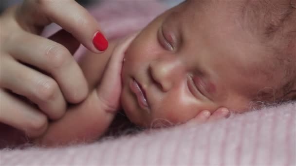 사랑스러운 작은 신생아 머리와 손의 추가 클로즈업 매크로는 신중하게 개념 촬영에 가장 적합한 위치에 넣어되고. 작은 아기 소녀 도착 자고 조용히 호흡 — 비디오