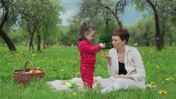 Uma menina a fazer de mãe. Piquenique de verão — Vídeo de Stock