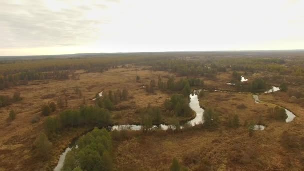 4K aerial view of flying over autumn landscape with river and fields — Stock Video