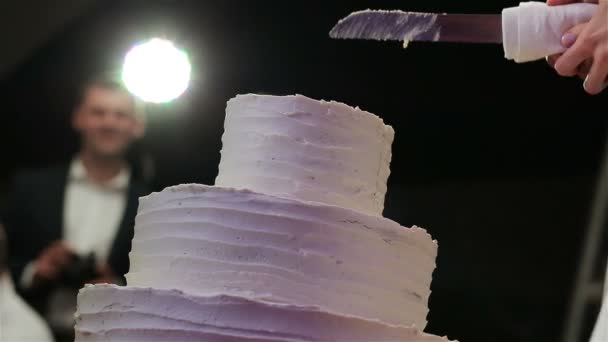 Newly wedded couples hands cutting wedding cake to pieces. Close up — Stock Video