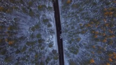 4K aerial view flying from above. Following white car moving on winding road in winter forest with snow trees tops around at sunset