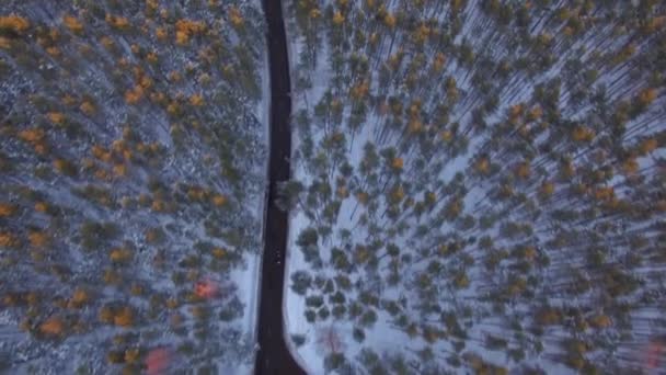 4K aerial view flying from above. Following black car moving on winding road in winter forest with snow trees tops around at sunset — 비디오