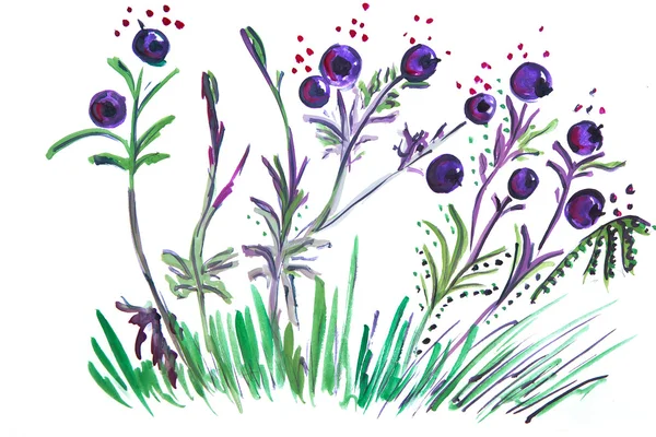 Ілюстрація чорниці, що росте в траві — стокове фото